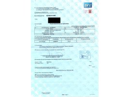 Rahmen Hauptrahmen deutsche Papiere Brief BMW R 1100 RS 259 93-99