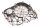 Koblingsdæksel højre starterdæksel Honda NX 650 Dominator RD08 95-02