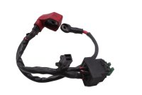 Hoofdzekering achterste kabelboom Aprilia SL 1000 Falco ZD4PA 99-04