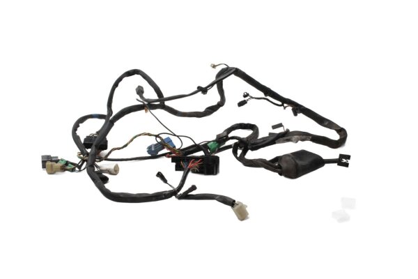 Hoofdkabelboom, elektrische kabelboom, zekering Suzuki GSF 1200 Bandit WVA9 01-05