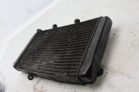 Vandkøler, radiator, motorkøling foran Honda CBR 1100 XX Blackbird SC35 97-98