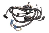 Cablaggio, cablaggio principale, impianto elettrico Suzuki GSF 1200 Bandit WVA9 01-05