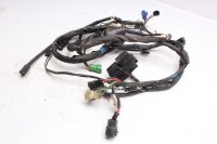 Cablaggio, cablaggio principale, impianto elettrico Suzuki GSF 1200 Bandit WVA9 01-05
