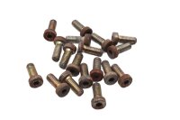 Brake disc screw set, hexagon socket Ducati 906 Paso ZDM906 89-92