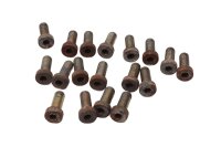Brake disc screw set, hexagon socket Ducati 906 Paso ZDM906 89-92