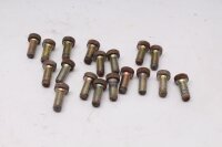 Brake disc screw set, hexagon socket Ducati 906 Paso ZDM906 89-92