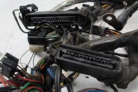 Kabelhärva, huvudkablage, kontakter, elsystem BMW R 1100 R 259 0407 95-01