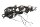 Kabelhärva, huvudkablage, kontakter, elsystem BMW R 1100 R 259 0407 95-01