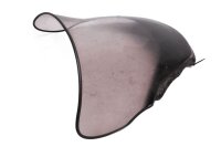 Windshield, tinted screen, fairing Honda CBR 1100 XX...