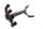 Udstødningsmanifold, udstødningsrør, manifoldsystem Honda CBR 1100 XX Blackbird SC35 97-98