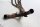 Udstødningsmanifold, udstødningsrør, manifoldsystem Honda CBR 1100 XX Blackbird SC35 97-98