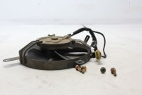 Kühlerlüfter Lüfterrad Kühlventilator Honda CBR 1100 XX Blackbird SC35 97-98