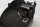 Bränsletank Bensintank Honda CBR 1100 XX Blackbird SC35 97-98