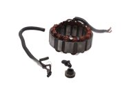Bobinado del estator del generador del alternador Ducati 906 Paso ZDM906 89-92