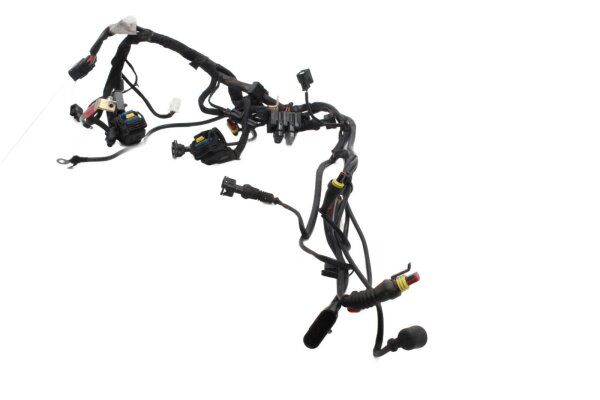 Ledningsnet hovedledningssæt stik Ducati Multistrada 620 ZDMA103AA 05-07