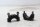 Stuurklem, bovenste kroonplaatset BMW R 1200 GS K25 0307 R12 04-07