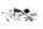 Screw set, spring, footrest pedals, spacers, Triumph Triumph universell