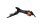 Support de plaque dimmatriculation, clignotants Suzuki GSX-R 750 K8/K9/L0 WVCW 08-10