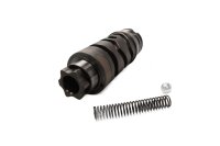 Shift drum, shift lever, spring, ball Ducati Multistrada 620 ZDMA103AA 05-07