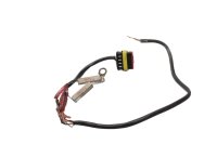 Cablaggio per indicatori di direzione e luce targa Ducati...