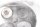 Topplock, ventilkåpa, ventilfjädrar, höger avgasrör BMW R 1150 GS R21 99-04