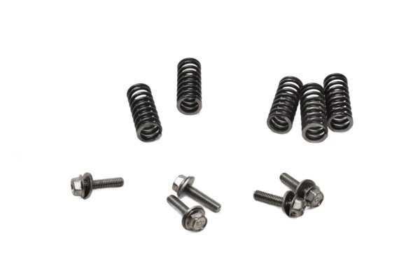 Clutch springs, screw set, compression springs, clutch Yamaha XJ 550 4V8 84-84