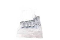 Shift shaft bolt set Triumph Street Triple 765 R Euro 4 STRTR-R/17 17-20