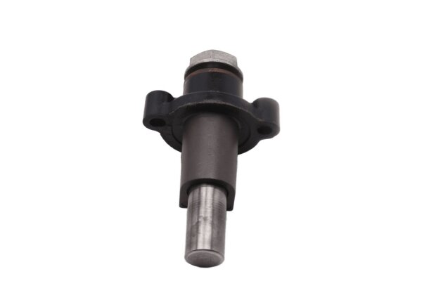Timing chain tensioner, timing chain Triumph Thunderbird 900 Sport 04-04