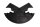Fork bridge cover dust cover upper fork Aprilia RSV 1000 Mille 03-03