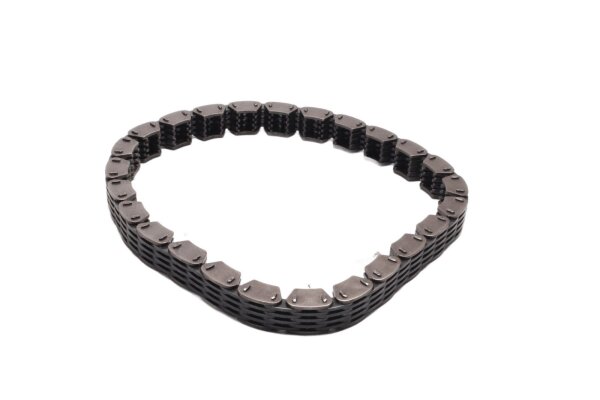 Primary chain, drive chain, timing chain, duplex engine replacement chain Unbekannt Konvolut