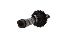 Camshaft drive wheel engine control lubrication Yamaha XJ 550 4V8 84-84