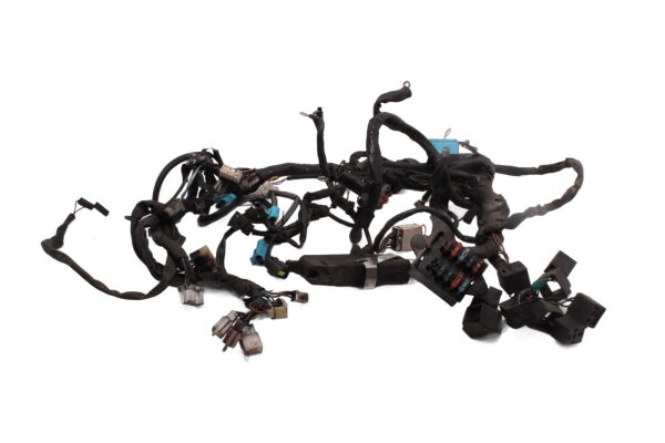 Cablaggio, cablaggio principale, scatola dei fusibili Triumph Speed Triple 955 EFI 04-04