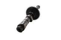 Camshaft drive gear control Yamaha XJ 550 4V8 84-84