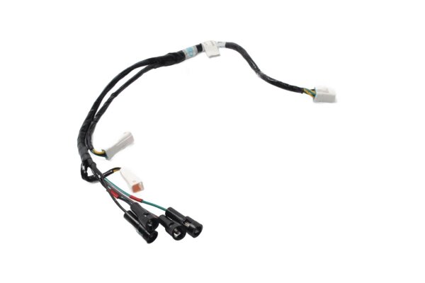 Cablaggio per indicatori di direzione e luci posteriori, sinistro e destro Triumph Scrambler 1200 XC 24-24