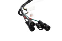 Cablaggio per indicatori di direzione e luci posteriori, sinistro e destro Triumph Scrambler 1200 XC 24-24