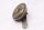 Signalhorn Elektrohorn Zweikabel Anschluss universal Aprilia RSV Mille ME 98-00