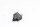 Clutch switch, fuse, interrupter Honda FMX 650 Funmoto 07-07