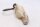 Coolant expansion tank hose Honda VTR 1000 Firestorm SC36 97-06