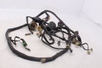 Hauptkabelbaum Kabelbaum Elektrik Honda VTR 1000 Firestorm SC36 97-06