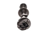 Nokkenas, distributietandwiel, kleppenbediening, inlaat Triumph Thunderbird 1600 17-17