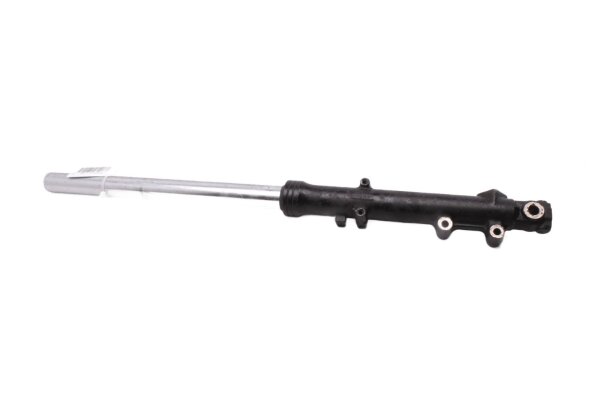 Fork leg, shock absorber, front axle, upside down Kawasaki Unbekannt