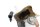 Kabelhärva, huvudkabelhärva, elkabelbunt BMW K 100 RS 16V K589 0523 89-92