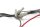 Cablaggio luce posteriore, connettore posteriore Suzuki DL 1000 V-Strom WVBS 02-12