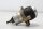Brandstofpomp, brandstofopvoerpomp BMW K 100 RS 16V K589 0523 89-92