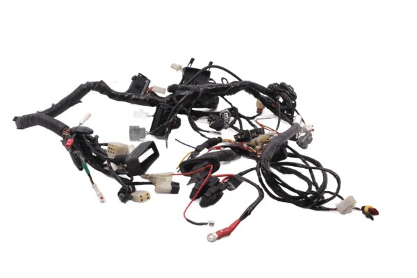 Ledningsnet, hovedledningsnet, elektrisk system, tænding, styreenhed KTM 690 Duke A3 12-13