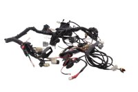 Ledningsnet, hovedledningsnet, elektrisk system, tænding, styreenhed KTM 690 Duke A3 12-13