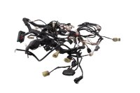 Ledningsnet, hovedledningsnet, elektrisk system, tænding, styreenhed KTM 690 Duke A3 12-13