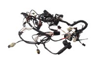 Ledningsnet, hovedledningsnet, elektrisk system, tænding, styreenhed KTM 690 Duke A3 12-13