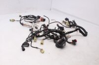 Ledningsnet, hovedledningsnet, elektrisk system, tænding, styreenhed KTM 690 Duke A3 12-13