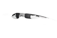 Forrude, touring-rud, klar tonet, for BMW R 1150 RS R22 0447 01-05